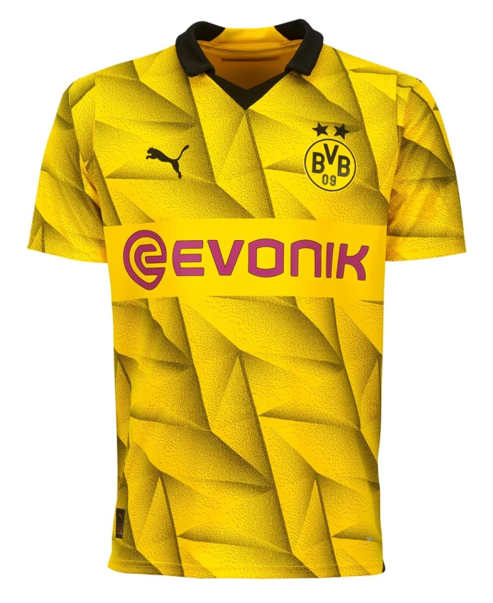 Borussia Dortmund 23/24 Cup
